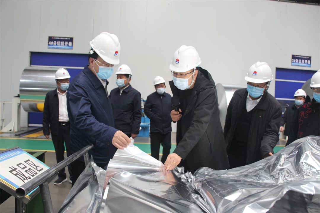河南省副省长何金平莅临pg电子官方网站铝业调研